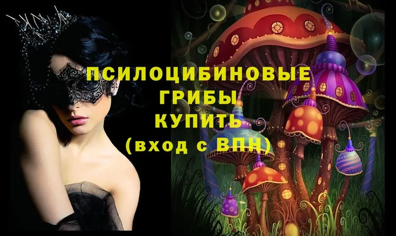 Псилоцибиновые грибы Magic Shrooms  Козельск 